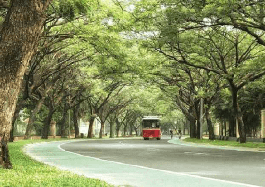 ditanami banyak trembesi pohon dan penghijauan juga menjadi tren properti di 2024